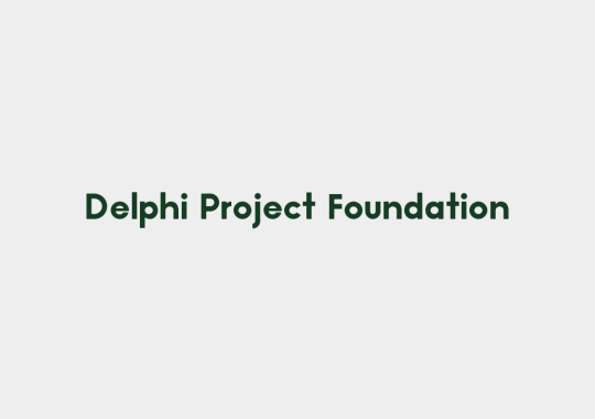 delphia project foundation color
